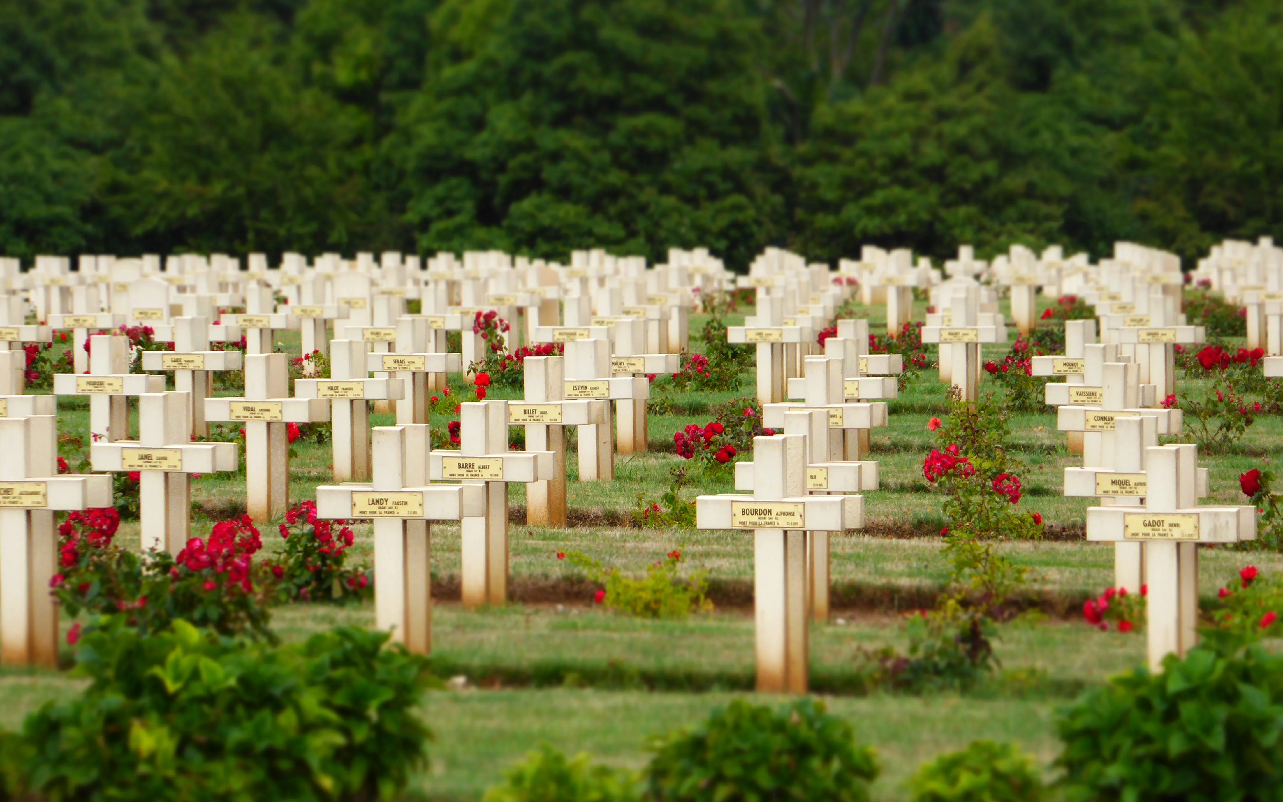 Cimetière militaire